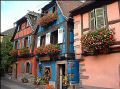 2- Niedermorschwihr.jpg
